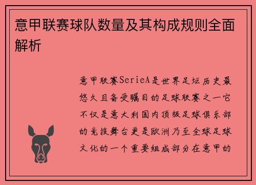 意甲联赛球队数量及其构成规则全面解析