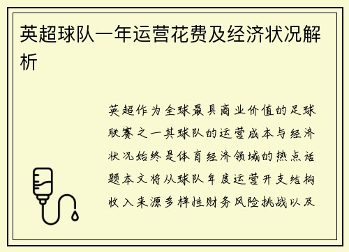 英超球队一年运营花费及经济状况解析